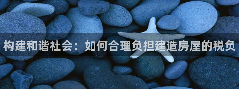 威九国际66m-66：构建和谐社会：如何合理负担建造房屋的税负