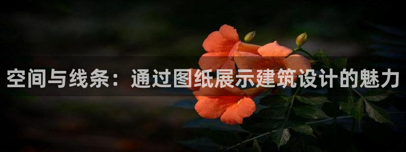 威九国际78mb玩法