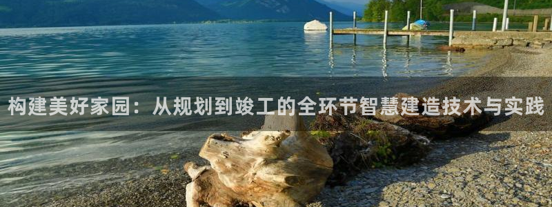威九国际在线平台怎么样啊