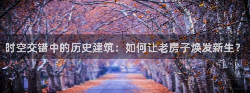 威九国际网站人入口：时空交错中的历史建筑：如何让老房子焕发新生？