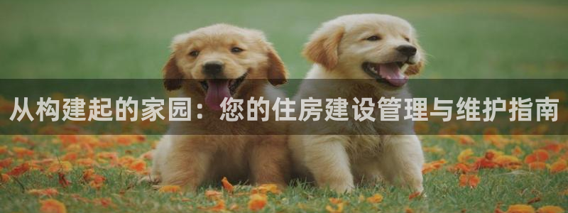 威九国际免费ppt网址：从构建起的家园：您的住房建设管理与维护指南