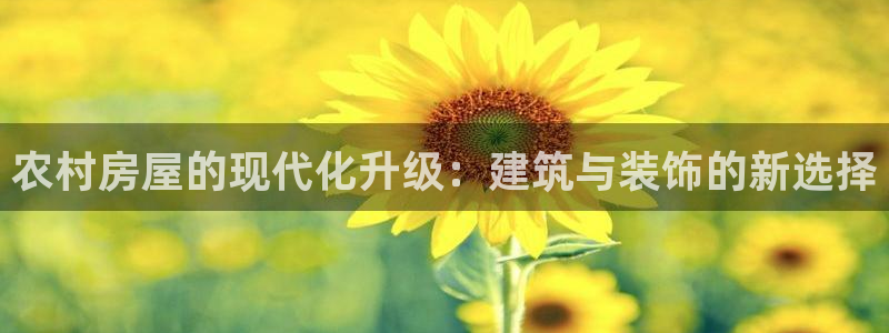 威九国际66m66成长模式免费：农村房屋的现代化升级：建筑与装饰的新选择