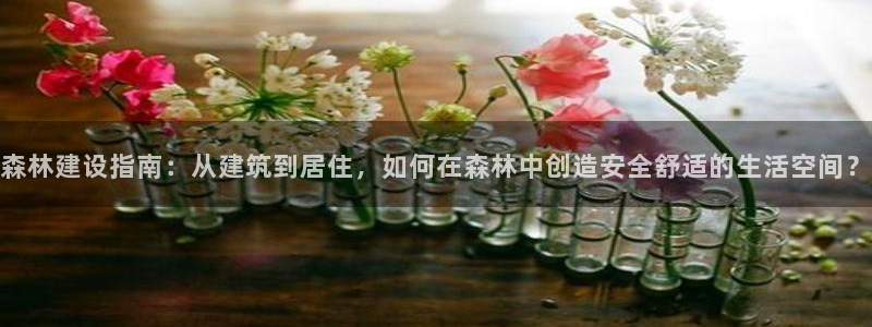 威九国际最近的视频：森林建设指南：从建筑到居住，如何在森林中创造安全舒适的生活空间？