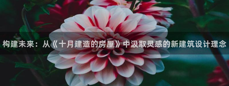 威九国际A：构建未来：从《十月建造的房屋》中汲取灵感的新建筑设计理念