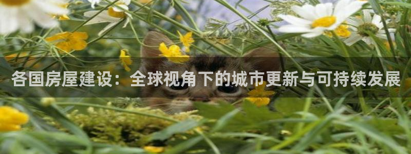 威九国际人民网：各国房屋建设：全球视角下的城市更新与可持续发展