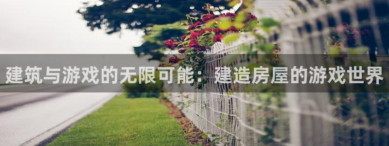 威九国际免费网络站：建筑与游戏的无限可能：建造房屋的游戏世界