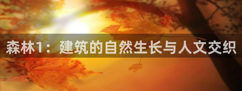 威九国际：森林1：建筑的自然生长与人文交织