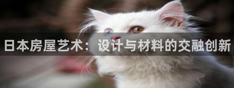 威九国际w98：日本房屋艺术：设计与材料的交融创新