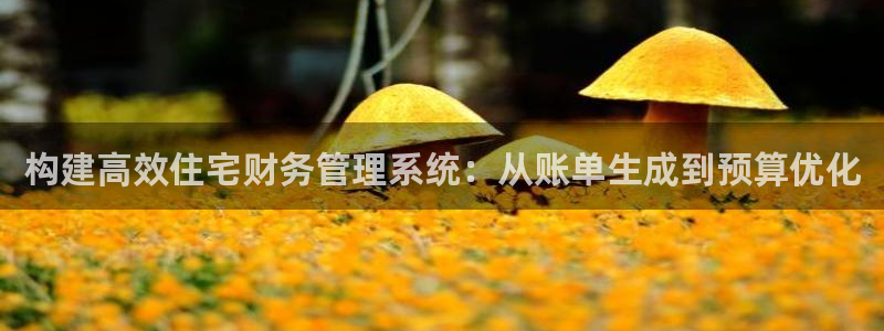 威九国际取款不到账：构建高效住宅财务管理系统：从账单生成到预算优化