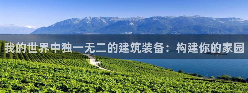 威九国际瘫痪丈夫眼见证：我的世界中独一无二的建筑装备：构建你的家园