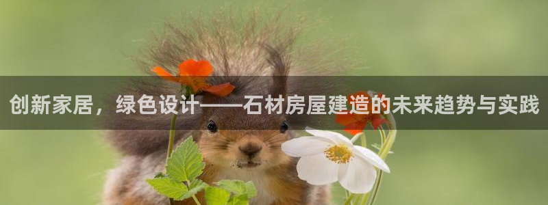 威九国际客服电话号码是多少：创新家居，绿色设计——石材房屋建造的未来趋势与实践