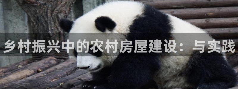 威九国际78mob游戏亮点：乡村振兴中的农村房屋建设：与实践