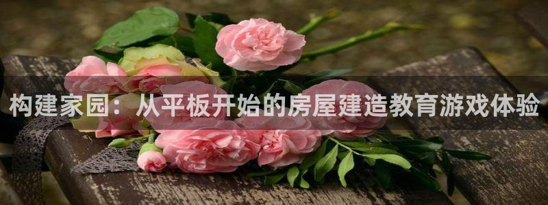 威九国际免费：构建家园：从平板开始的房屋建造教育游戏体验