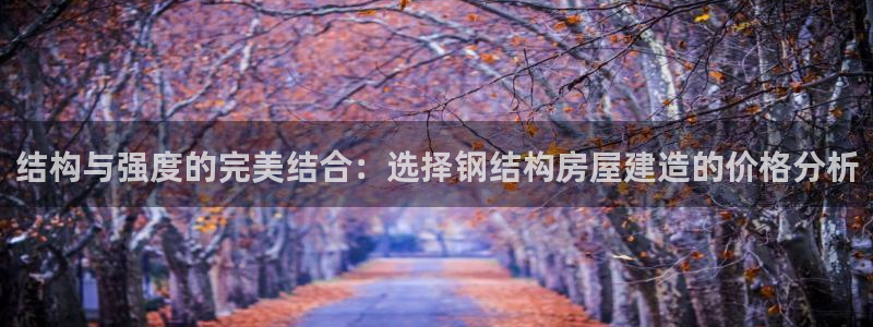 78mapp威九国际一：结构与强度的完美结合：选择钢结构房屋建造的价格分析