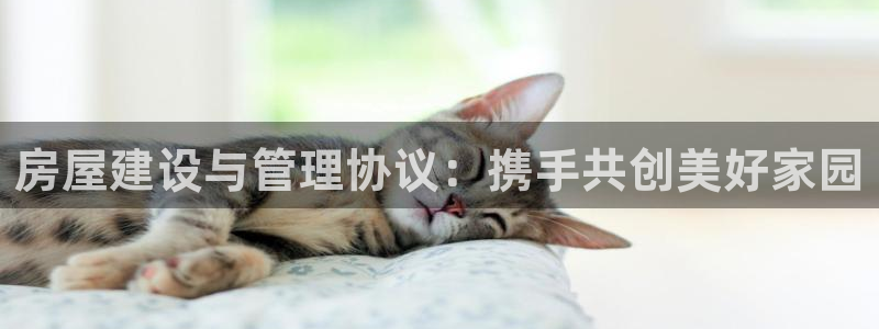 威九国际清砖码：房屋建设与管理协议：携手共创美好家园