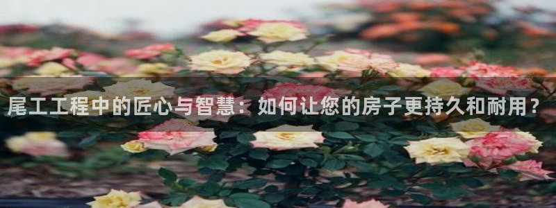 威九国际PPT