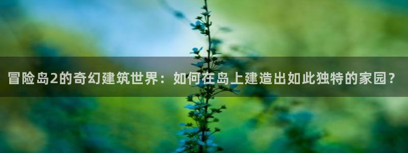 威九国际全国空降：冒险岛2的奇幻建筑世界：如何在岛上建造出如此独特的家园？
