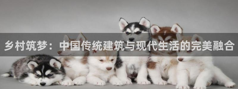 78m.ppt威九国际官网版