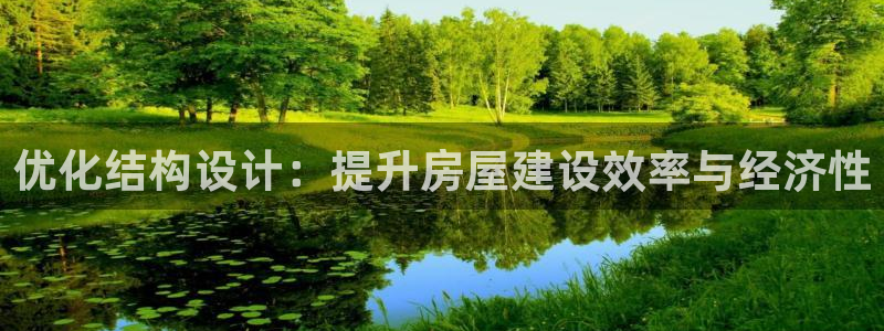 威九国际清砖码：优化结构设计：提升房屋建设效率与经济性