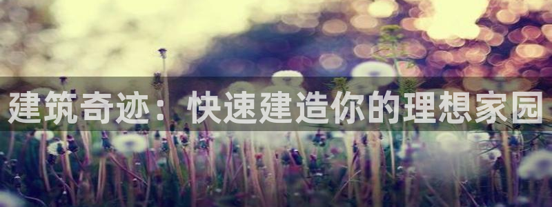 威九国际电子有限公司：建筑奇迹：快速建造你的理想家园