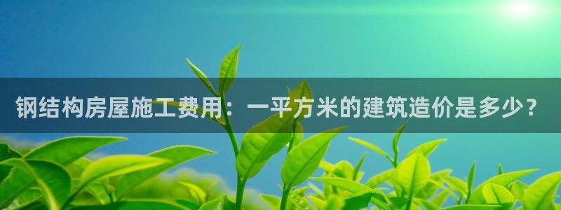 威九国际新人白发：钢结构房屋施工费用：一平方米的建筑造价是多少？
