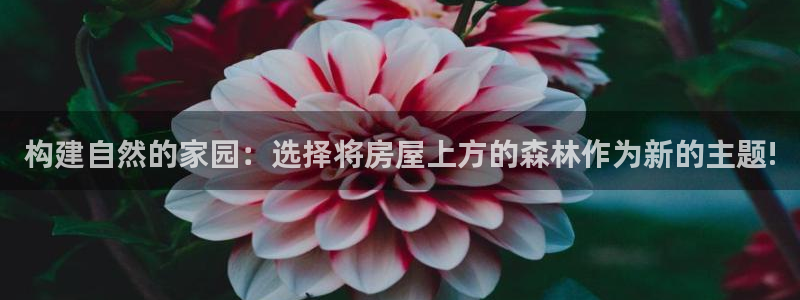 威九国际X8：构建自然的家园：选择将房屋上方的森林作为新的主题!