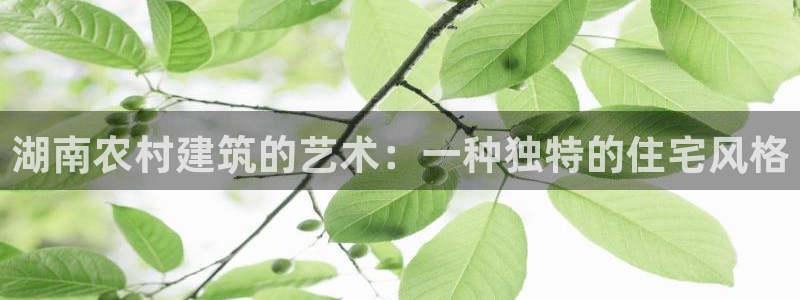 威九国际ppt免费：湖南农村建筑的艺术：一种独特的住宅风格