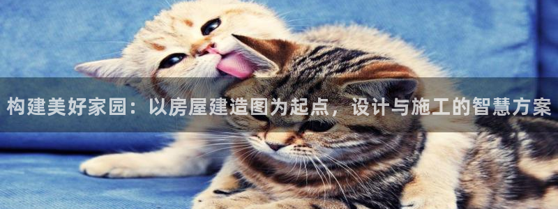 威九国际清砖码：构建美好家园：以房屋建造图为起点，设计与施工的智慧方案