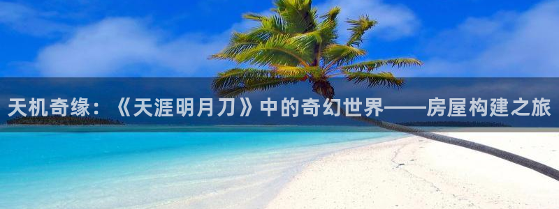 威九国际韩国：天机奇缘：《天涯明月刀》中的奇幻世界——房屋构建之旅
