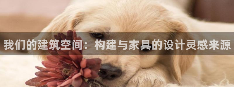 威九国际在线平台怎么样啊：我们的建筑空间：构建与家具的设计灵感来源