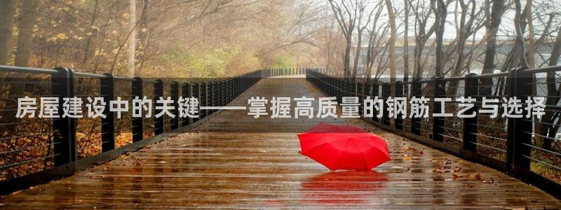 威九国际网站入口地址：房屋建设中的关键——掌握高质量的钢筋工艺与选择