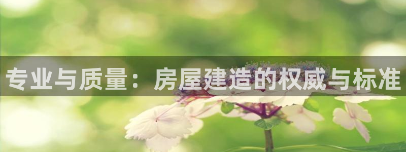 威九国际韩国：专业与质量：房屋建造的权威与标准
