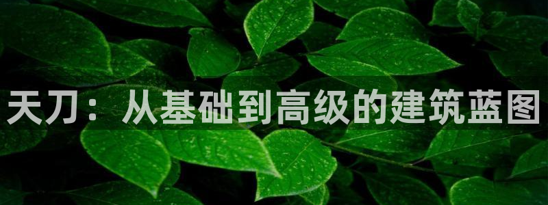 威九国际成长模式怎么样：天刀：从基础到高级的建筑蓝图