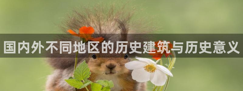 威九国际官网登录入口：国内外不同地区的历史建筑与历史意义