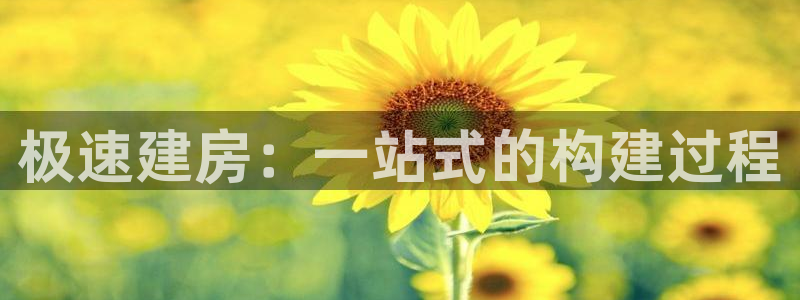 威九国际官网版下载：极速建房：一站式的构建过程