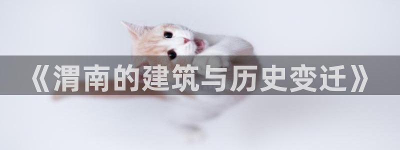 威九国际ppt免费吗：《渭南的建筑与历史变迁》