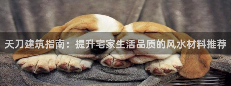 威九国际v9：天刀建筑指南：提升宅家生活品质的风水材料推荐