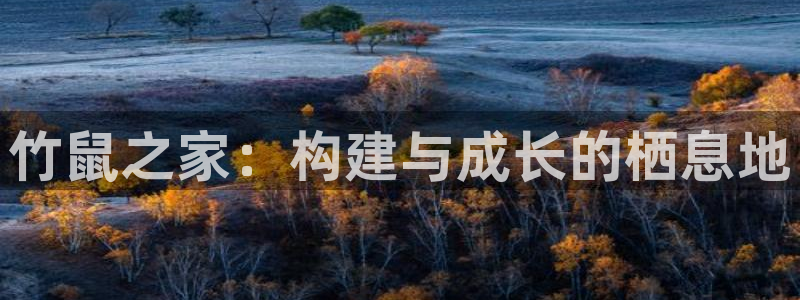 威九国际空降服务女演员名字：竹鼠之家：构建与成长的栖息地
