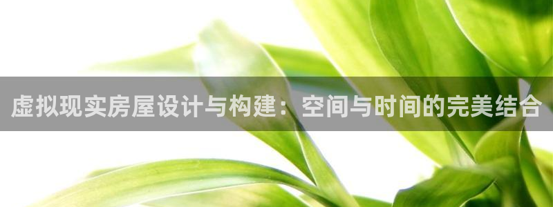 威九国际：虚拟现实房屋设计与构建：空间与时间的完美结合