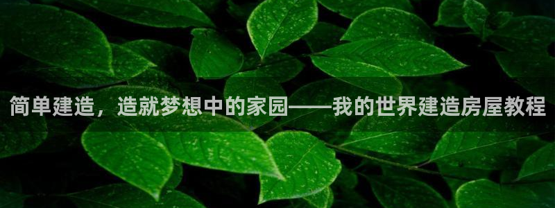 威九国际精彩推荐：简单建造，造就梦想中的家园——我的世界建造房屋教程