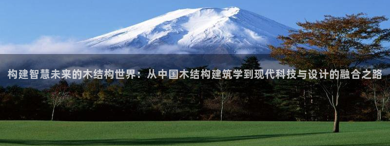 威九国际网站进入公司不断创新：构建智慧未来的木结构世界：从中国木结构建筑学到现代科技与设计的融合之路