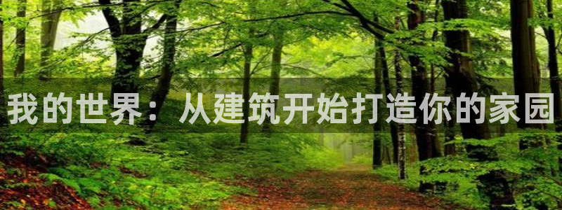 威九国际66：我的世界：从建筑开始打造你的家园