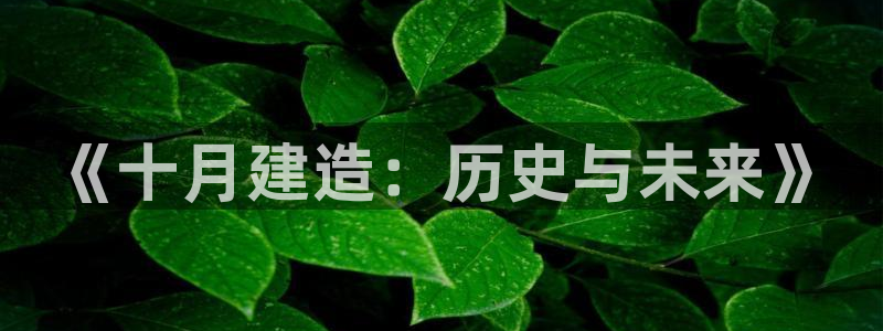 威九国际留学
