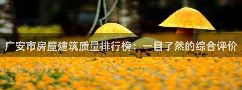 威九国际PPT：广安市房屋建筑质量排行榜：一目了然的综合评价