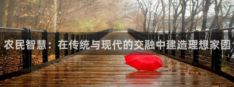 威九国际父亲的友人：农民智慧：在传统与现代的交融中建造理想家园