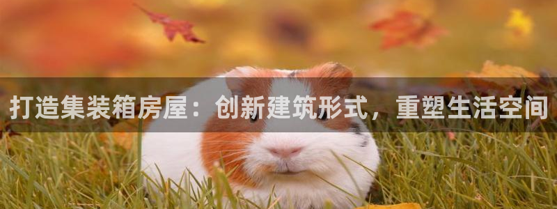 威九国际精彩推荐：打造集装箱房屋：创新建筑形式，重塑生活空间