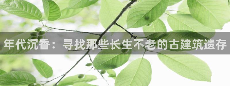 威九国际系列：年代沉香：寻找那些长生不老的古建筑遗存