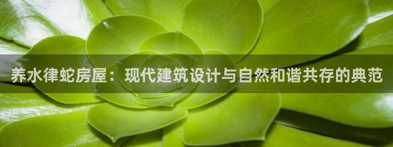 威九国际网站入口地址查询