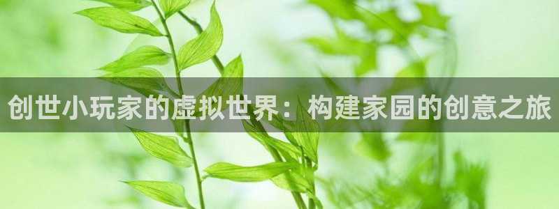 威九国际天美：创世小玩家的虚拟世界：构建家园的创意之旅