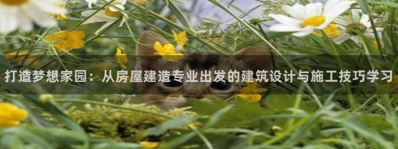 威九国际网站入口地址查询：打造梦想家园：从房屋建造专业出发的建筑设计与施工技巧学习